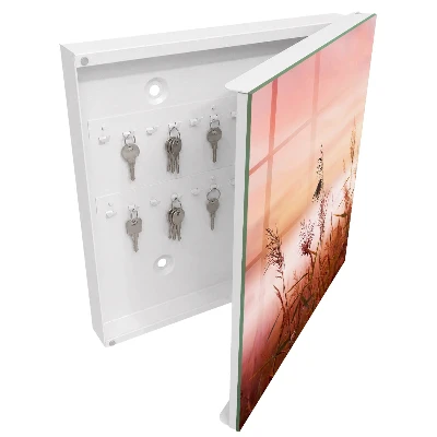 Wall mounted key box Grass at dawn