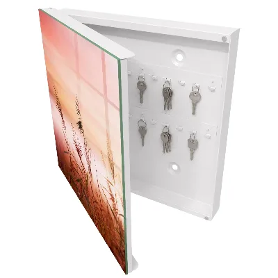 Wall mounted key box Grass at dawn