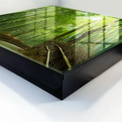Key cabinet Bamboo path