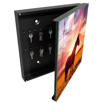 Wall mounted key box Horse in the sun