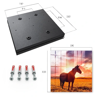 Wall mounted key box Horse in the sun