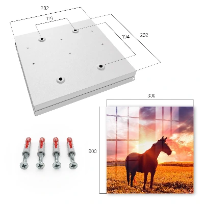 Wall mounted key box Horse in the sun