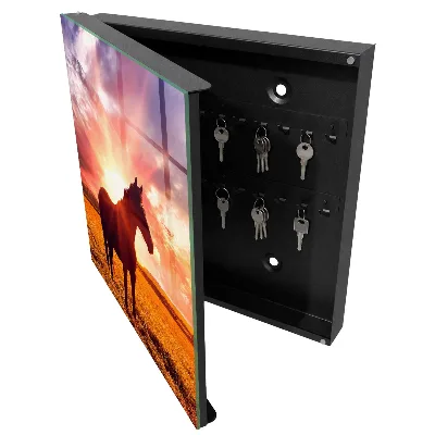 Wall mounted key box Horse in the sun