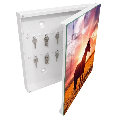Wall mounted key box Horse in the sun