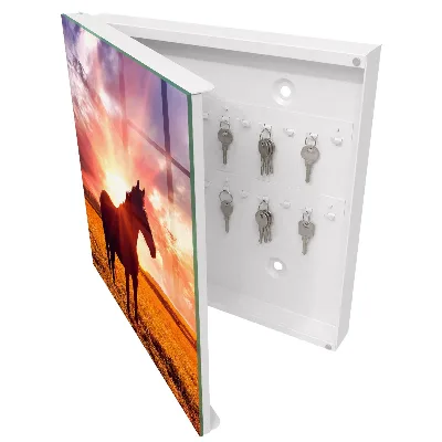 Wall mounted key box Horse in the sun