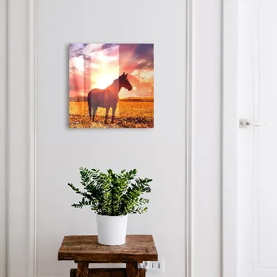 Wall mounted key box Horse in the sun