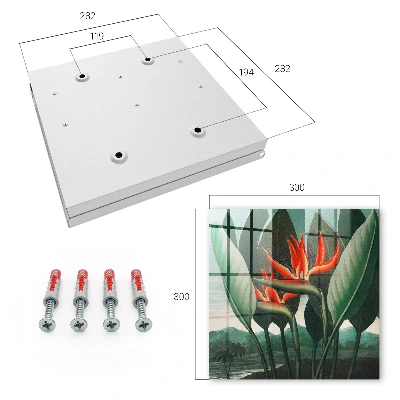 Key box for wall Exotic nature