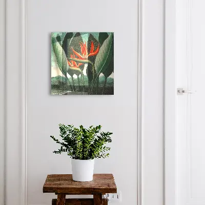 Key box for wall Exotic nature