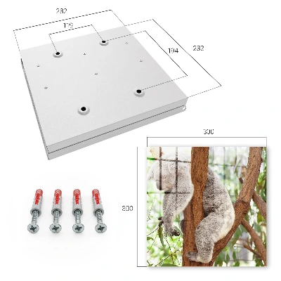 Key cabinet Koala relaxation