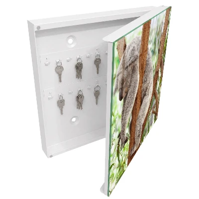 Key cabinet Koala relaxation