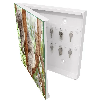 Key cabinet Koala relaxation