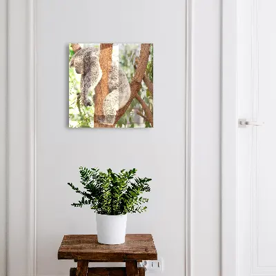 Key cabinet Koala relaxation