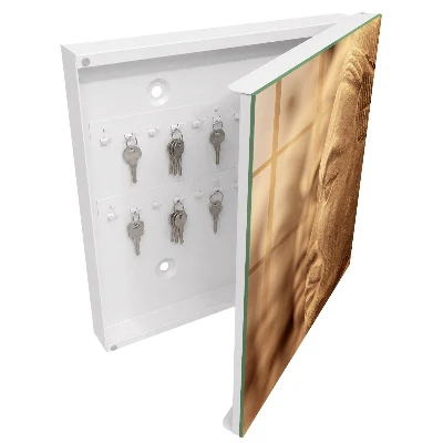Key box for wall Historical sculpture