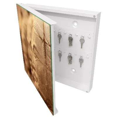 Key box for wall Historical sculpture