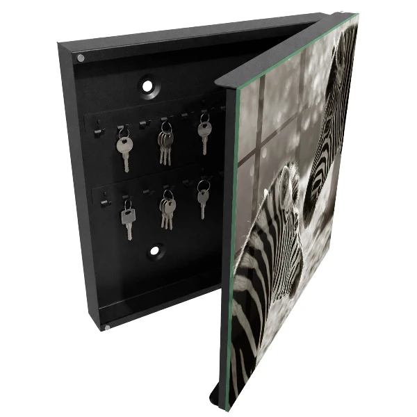 Wall mounted key box Zebras together
