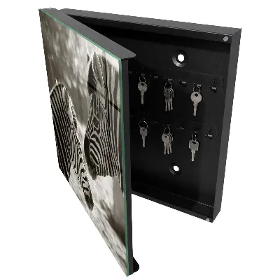 Wall mounted key box Zebras together