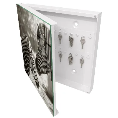 Wall mounted key box Zebras together