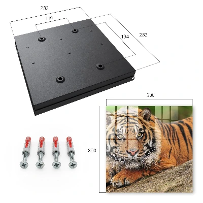 Wall mounted key box Tiger resting