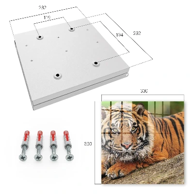 Wall mounted key box Tiger resting