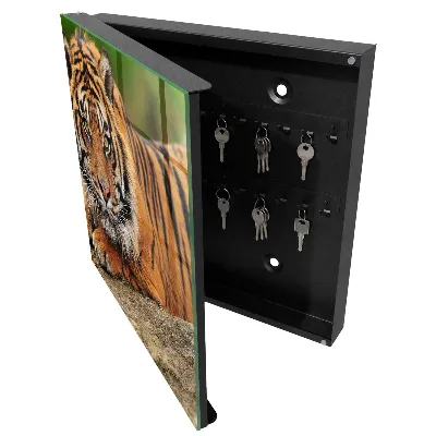 Wall mounted key box Tiger resting