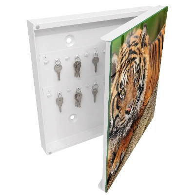 Wall mounted key box Tiger resting