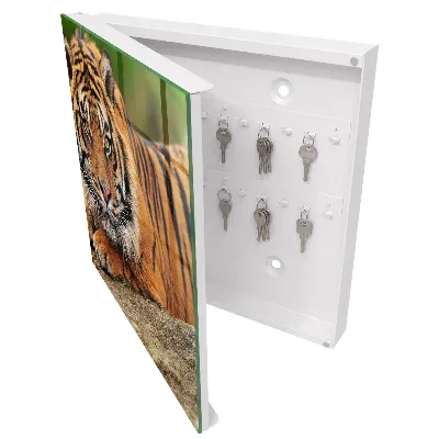Wall mounted key box Tiger resting