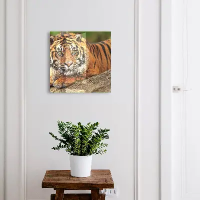 Wall mounted key box Tiger resting