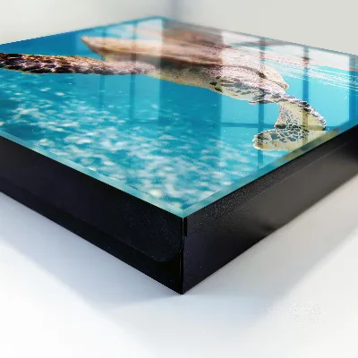 Key box for wall Underwater world