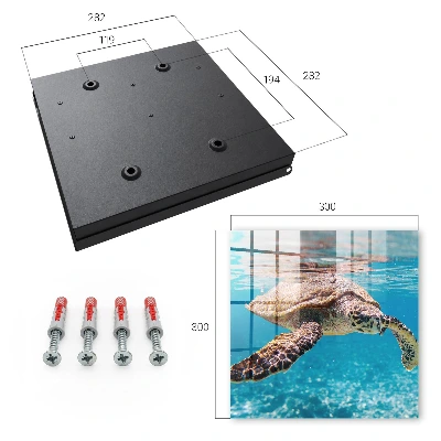 Key box for wall Underwater world