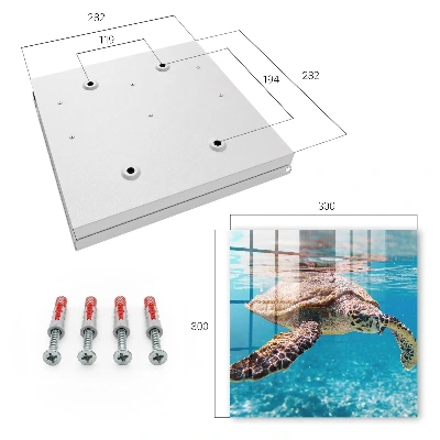 Key box for wall Underwater world