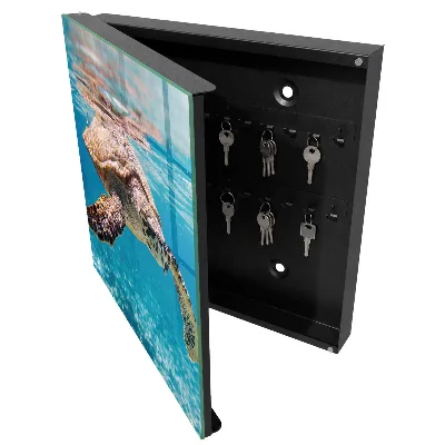Key box for wall Underwater world