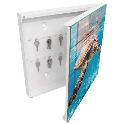 Key box for wall Underwater world