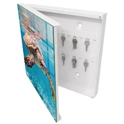 Key box for wall Underwater world