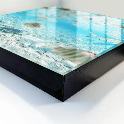 Key cabinet Aquatic life