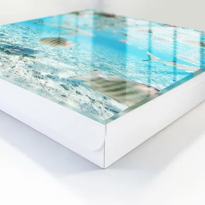 Key cabinet Aquatic life