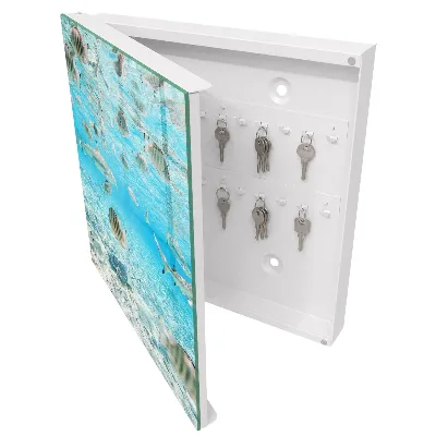 Key cabinet Aquatic life
