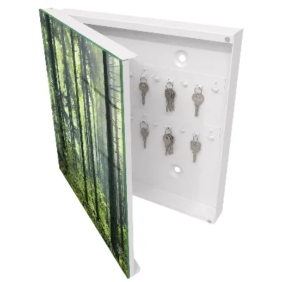 Key box for wall Green forest