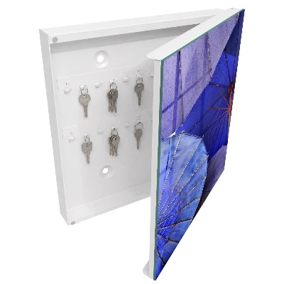 Wall mounted key box Blue umbrellas