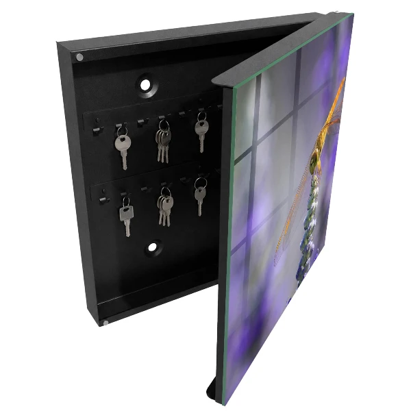 Key box for wall Dragonfly on a flower