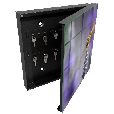 Key box for wall Dragonfly on a flower