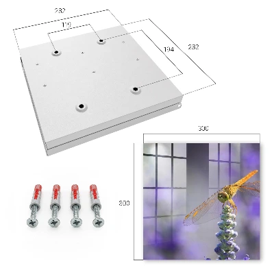Key box for wall Dragonfly on a flower