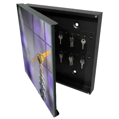 Key box for wall Dragonfly on a flower