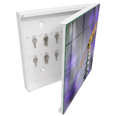 Key box for wall Dragonfly on a flower