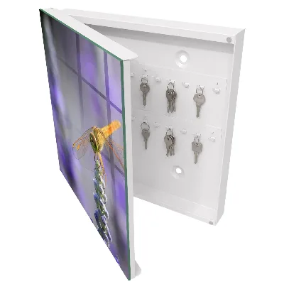 Key box for wall Dragonfly on a flower