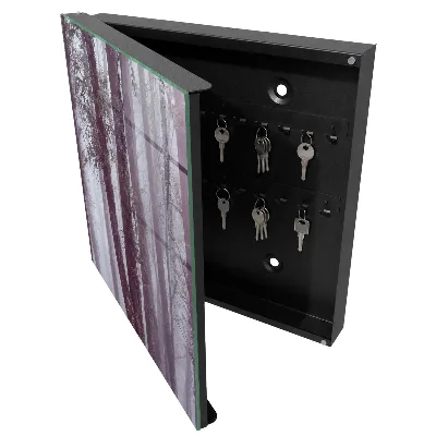 Key box for wall Forest fog