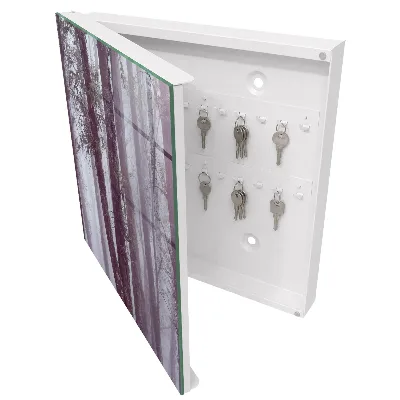 Key box for wall Forest fog