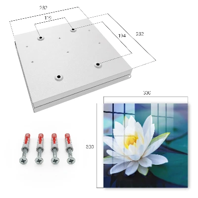 Wall mounted key box Water lily
