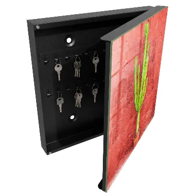 Key box for wall Green cactus