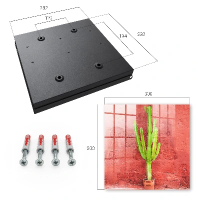 Key box for wall Green cactus