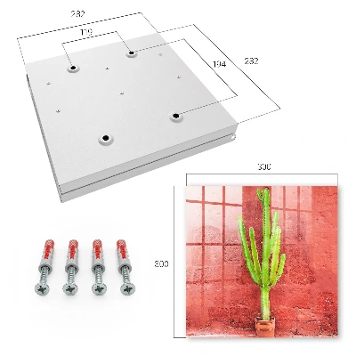 Key box for wall Green cactus
